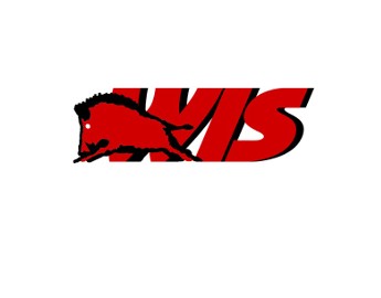 WIS W.Dzik, S.Dzik Sp.J.